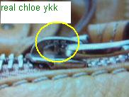 Real Chloe ykk